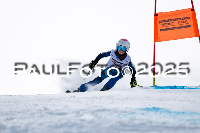 DSV - ELK Deutscher Schülercup U12 Finale RSX 2025
