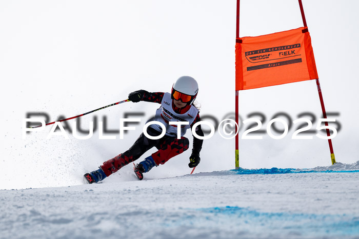 DSV - ELK Deutscher Schülercup U12 Finale RSX 2025