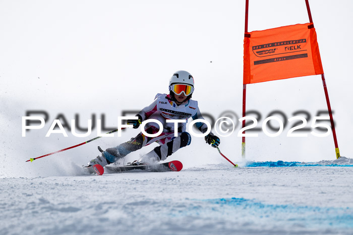 DSV - ELK Deutscher Schülercup U12 Finale RSX 2025