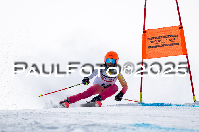 DSV - ELK Deutscher Schülercup U12 Finale RSX 2025