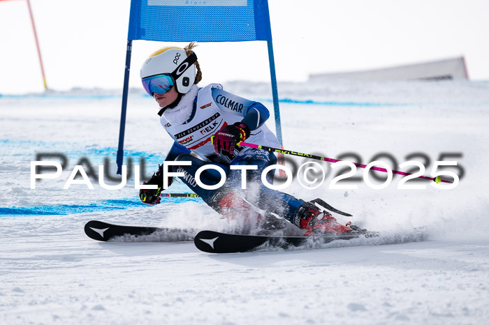 DSV - ELK Deutscher Schülercup U12 Finale RSX 2025