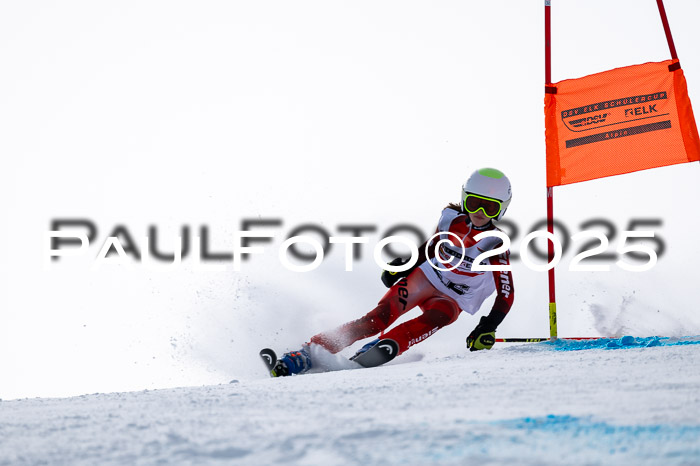 DSV - ELK Deutscher Schülercup U12 Finale RSX 2025