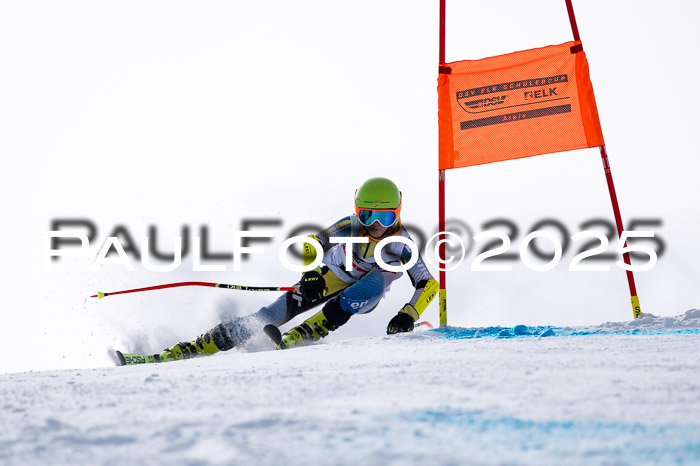 DSV - ELK Deutscher Schülercup U12 Finale RSX 2025