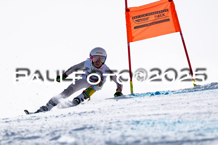 DSV - ELK Deutscher Schülercup U12 Finale RSX 2025