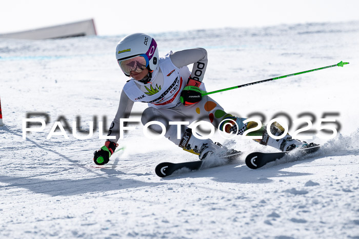 DSV - ELK Deutscher Schülercup U12 Finale RSX 2025