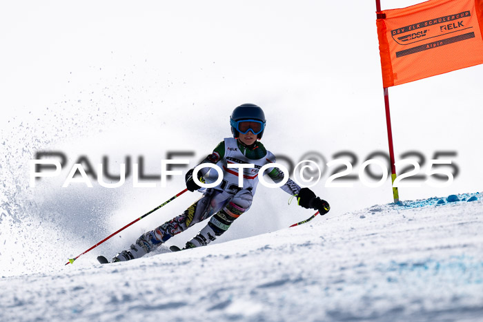 DSV - ELK Deutscher Schülercup U12 Finale RSX 2025