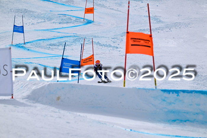 DSV - ELK Deutscher Schülercup U12 Finale RSX 2025