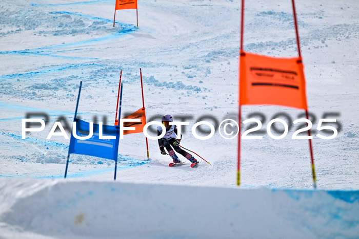 DSV - ELK Deutscher Schülercup U12 Finale RSX 2025