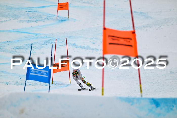 DSV - ELK Deutscher Schülercup U12 Finale RSX 2025