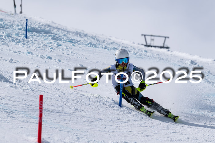 Deutscher Schülercup U12 Finale Slalom 22.03.2025