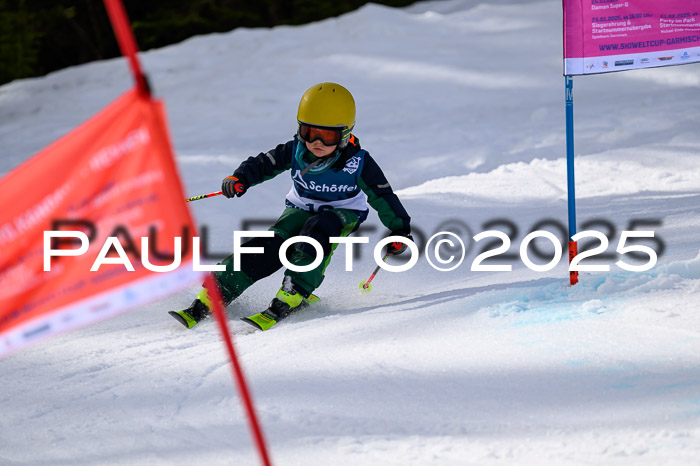 61. Int. Werdenfelser Kinderskitag 23.03.2025