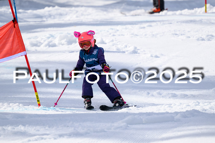 61. Int. Werdenfelser Kinderskitag 23.03.2025