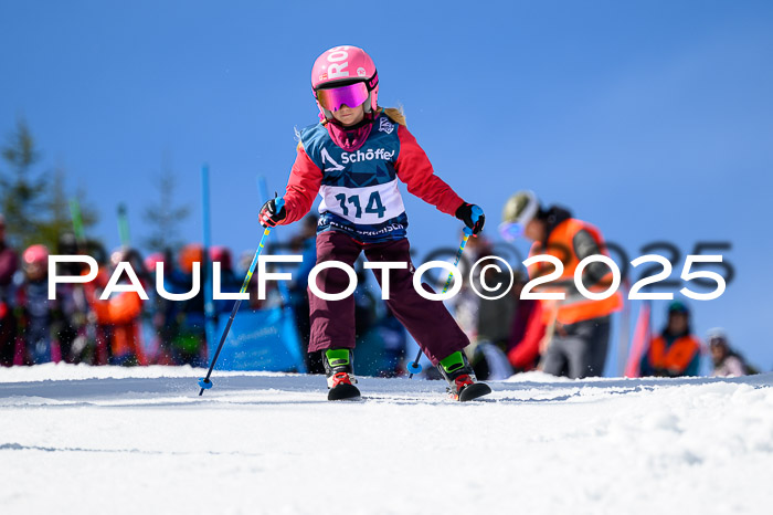 61. Int. Werdenfelser Kinderskitag 23.03.2025