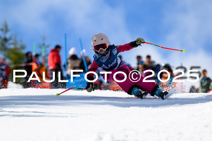 61. Int. Werdenfelser Kinderskitag 23.03.2025