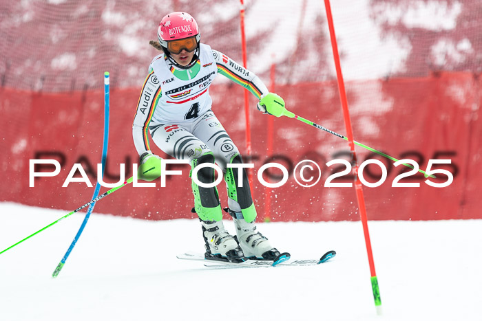 Dt. Schülermeisterschaft SL 24.03.2025