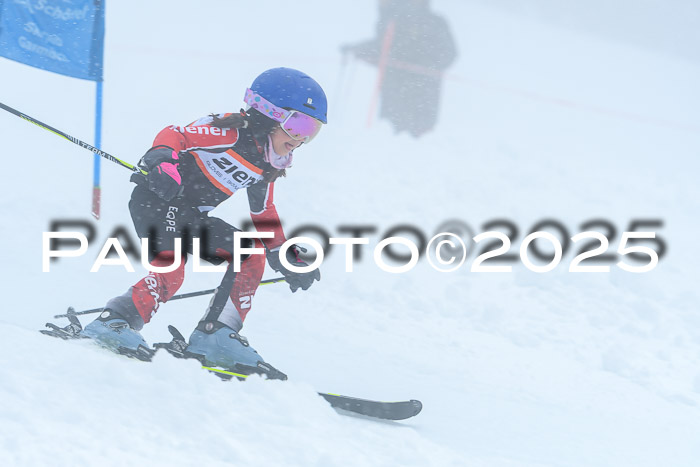 Ziener Cup Finale, Quali + PSL, 29.03.2025