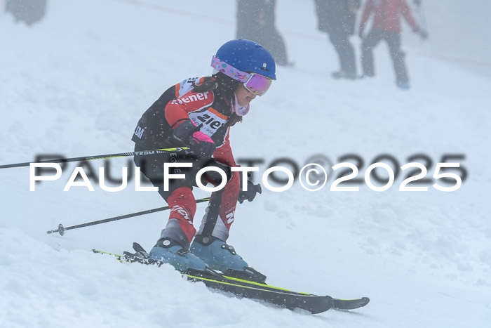 Ziener Cup Finale, Quali + PSL, 29.03.2025