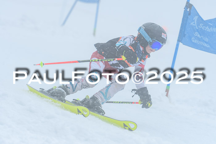 Ziener Cup Finale, Quali + PSL, 29.03.2025
