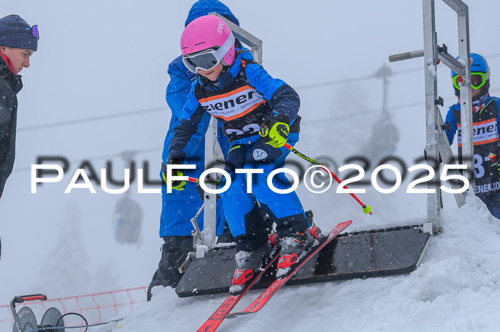 Ziener Cup Finale, Quali + PSL, 29.03.2025