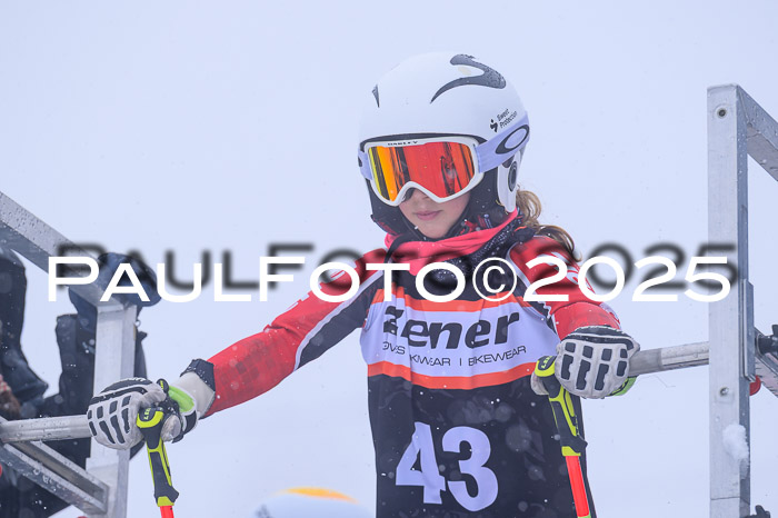 Ziener Cup Finale, Quali + PSL, 29.03.2025
