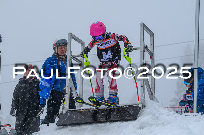 Ziener Cup Finale, Quali + PSL, 29.03.2025