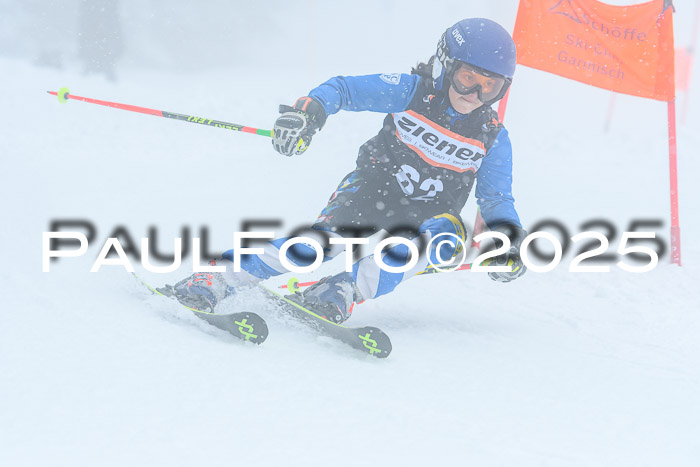 Ziener Cup Finale, Quali + PSL, 29.03.2025