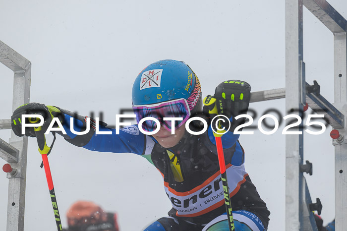 Ziener Cup Finale, Quali + PSL, 29.03.2025