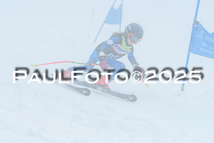 Ziener Cup Finale, Quali + PSL, 29.03.2025