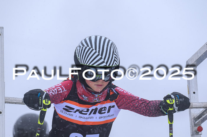 Ziener Cup Finale, Quali + PSL, 29.03.2025