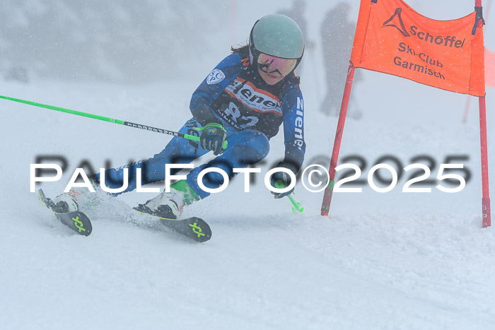 Ziener Cup Finale, Quali + PSL, 29.03.2025