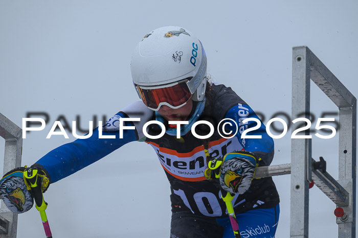 Ziener Cup Finale, Quali + PSL, 29.03.2025