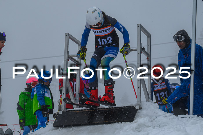 Ziener Cup Finale, Quali + PSL, 29.03.2025