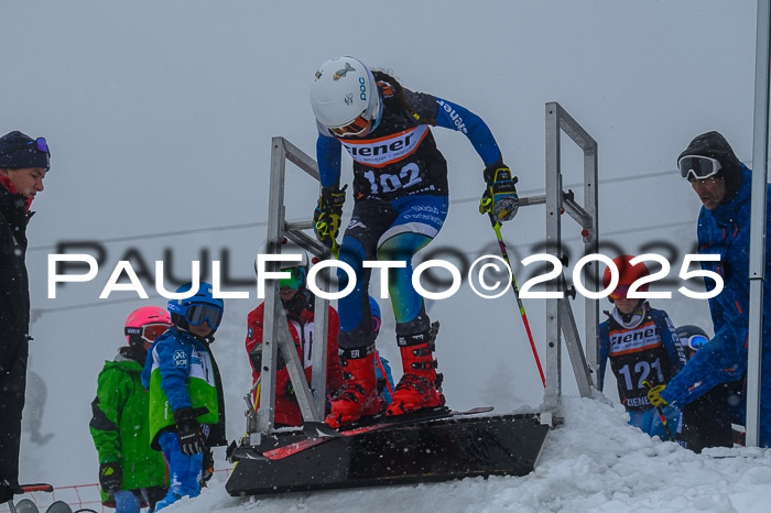 Ziener Cup Finale, Quali + PSL, 29.03.2025