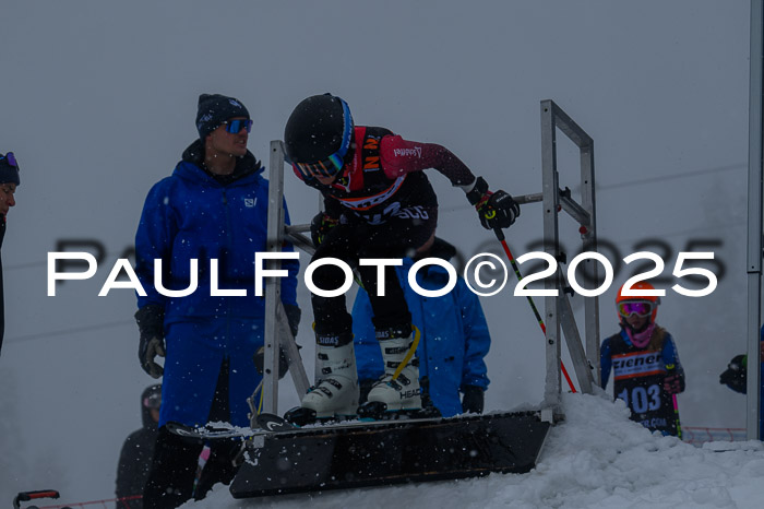 Ziener Cup Finale, Quali + PSL, 29.03.2025