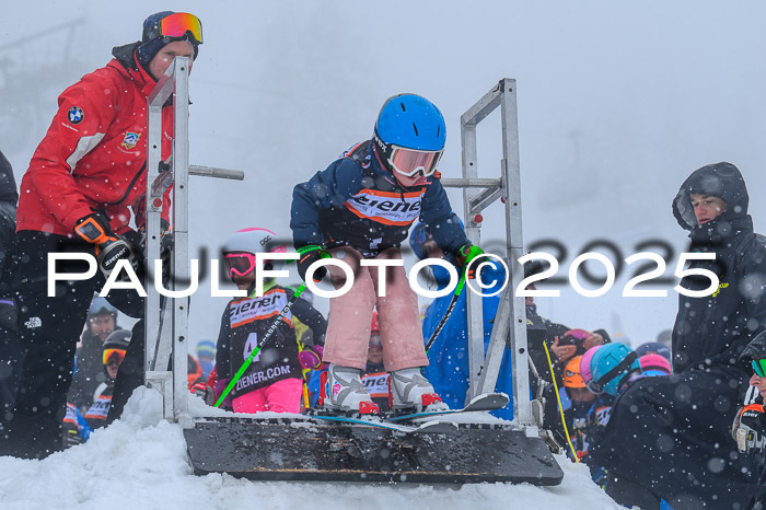 Ziener Cup Finale, Quali + PSL, 29.03.2025
