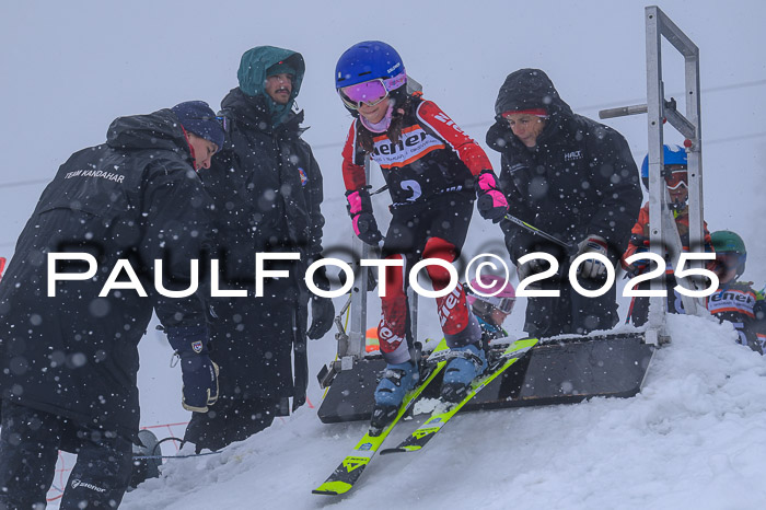 Ziener Cup Finale, Quali + PSL, 29.03.2025
