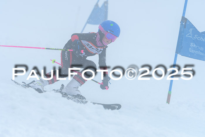 Ziener Cup Finale, Quali + PSL, 29.03.2025