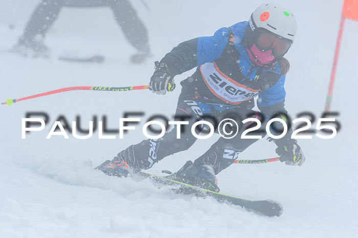 Ziener Cup Finale, Quali + PSL, 29.03.2025
