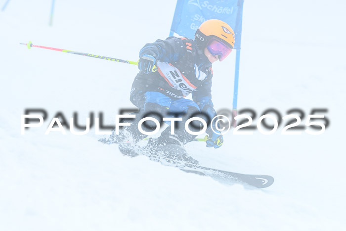 Ziener Cup Finale, Quali + PSL, 29.03.2025