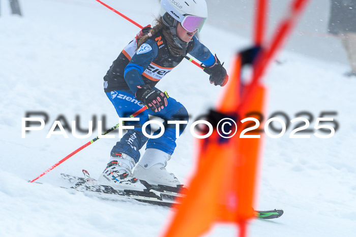 Ziener Cup Finale, Quali + PSL, 29.03.2025