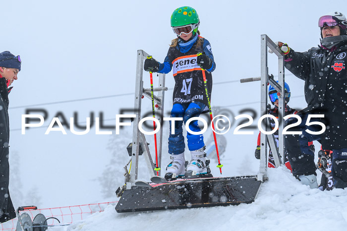 Ziener Cup Finale, Quali + PSL, 29.03.2025