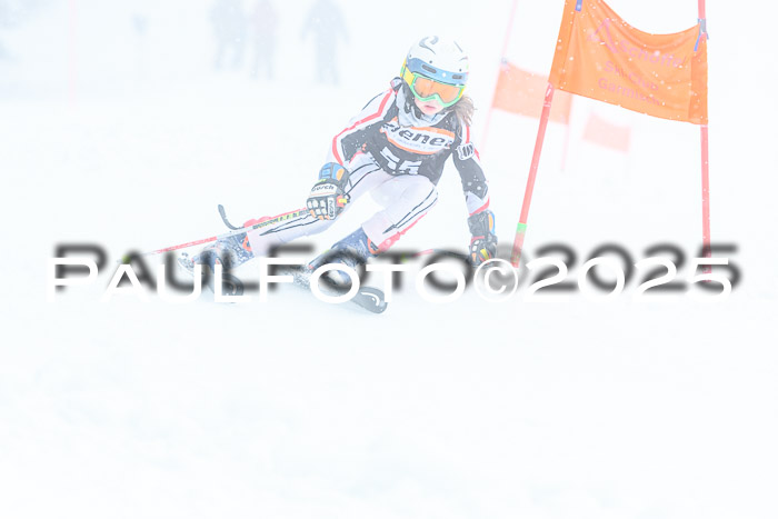 Ziener Cup Finale, Quali + PSL, 29.03.2025