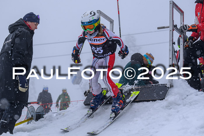 Ziener Cup Finale, Quali + PSL, 29.03.2025