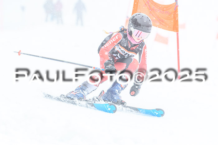 Ziener Cup Finale, Quali + PSL, 29.03.2025