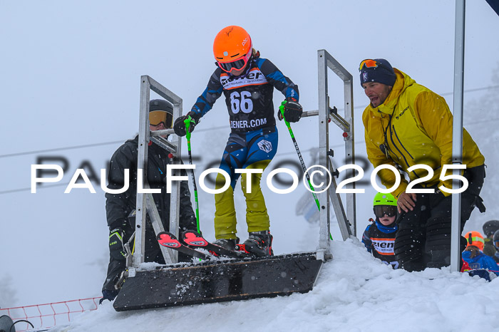Ziener Cup Finale, Quali + PSL, 29.03.2025