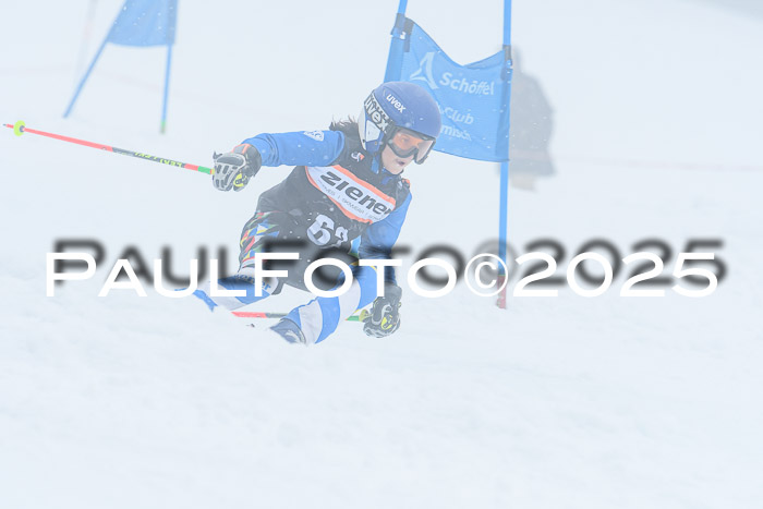 Ziener Cup Finale, Quali + PSL, 29.03.2025