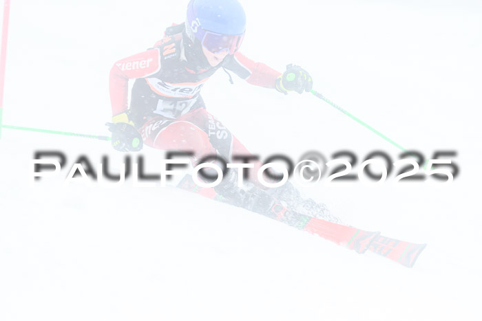 Ziener Cup Finale, Quali + PSL, 29.03.2025