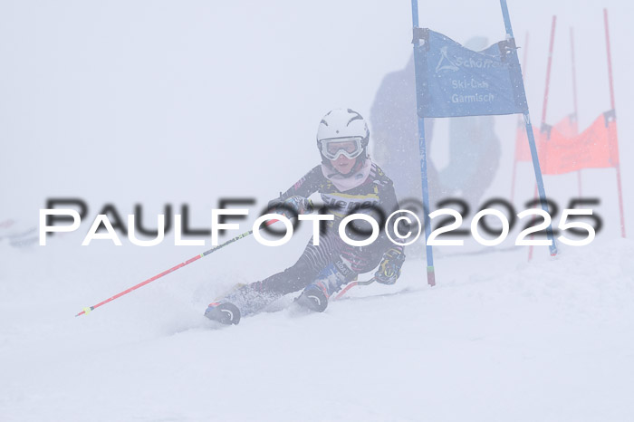 Ziener Cup Finale, Quali + PSL, 29.03.2025