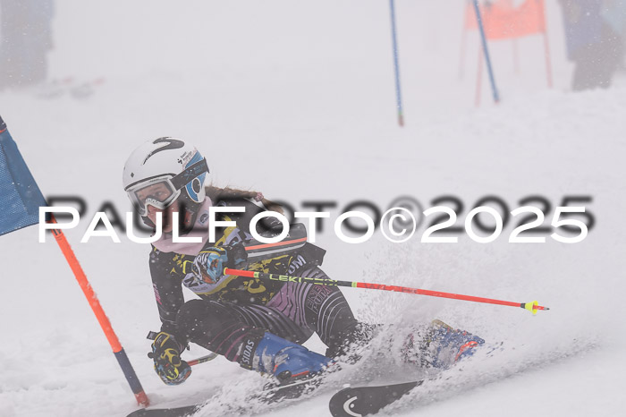 Ziener Cup Finale, Quali + PSL, 29.03.2025