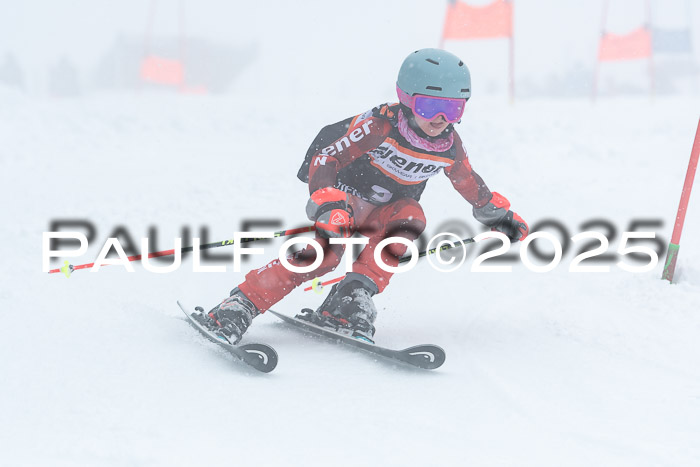 Ziener Cup Finale, Quali + PSL, 29.03.2025